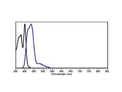 Fluorophore-linked immunosorbent assay: His Tag Antibody (33D10.D2.G8) [DyLight 405] [NBP1-97328]