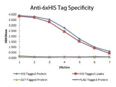 ELISA: His Tag Antibody (33D10.D2.G8) [DyLight 680] [NBP1-97332] - 6x HIS Monoclonal Antibody DyLight 680 Conjugated