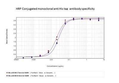 ELISA: His Tag Antibody (33D10.D2.G8) [HRP] [NBP1-42783] - Antigen: 6X HIS-tagged conjugated BSA at the N or C terminus of the 6XHis. Coating amount: 0.15 ug per well. Primary antibody (direct detection): HRP conjugated 6xHIS Tag antibody diluted from stock concentration at 100 ug/mL. Substrate: TMB ELISA peroxidase substrate.