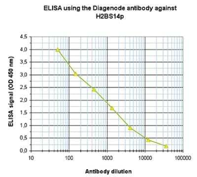 ELISA: Histone H2B, member S [p Ser14] Antibody (C.15200186) [NBP2-62794] - To determine the titer of the antibody, analysis was performed using a serial dilution of the antibody against H2BS14p.The antigen used was a peptide containing the histone modification of interest. By plotting the absorbance against the antibody dilution, the titer of the antibody was estimated to be 1:2,000.