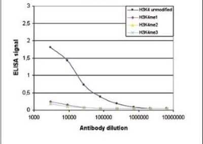 ELISA: Histone H3 Antibody (C.15200149) [NBP2-59283] - Cross reactivity of the antibody directed against H3K4un. To test the specificity an ELISA was performed using a serial dilution of the antibody against H3K4un. The wells were coated with peptides containing the unmodified H3K4 region as well as the mono-, di- and trimethylated H3K4. Figure shows a high specificity of the antibody for the unmodified peptide.