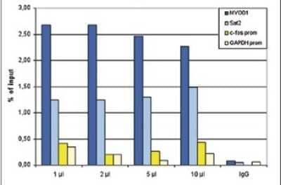 Chromatin Immunoprecipitation: Histone H3 Antibody [NBP2-59173] - ChIP assays were performed using human HeLa cells, the antibody against H3pan and optimized PCR primer sets for qPCR. ChIP was performed with the Auto Histone ChIP-seq kit , using sheared chromatin from 1 million cells. A titration of the antibody consisting of 1, 2, 5, and 10 ul per ChIP experiment was analysed. IgG (2 ug/IP) was used as negative IP control. QPCR was performed with primers for the promoters of the active GAPDH and EIF4A2 genes, used as negative controls, and for the inactive MYOD1 and the Sat2 satellite repeat, used as positive controls. Figure shows the recovery, expressed as a % of input (the relative amount of immunoprecipitated DNA compared to input DNA after qPCR analysis).