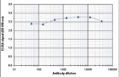 ELISA: Histone H3 Antibody [NBP2-59280] - To determine the titer of the antibody, an ELISA was performed using a serial dilution of the antibody directed against H3pan. The plates were coated with the peptides used for immunization. By plotting the absorbance against the antibody dilution, the titer of the antibody was estimated to be >1:1,000,000.