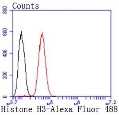 Flow Cytometry: Histone H3 Antibody (JJ092-08) [NBP2-67908] - Analysis of Hela cells with Histone H3 antibody at 1/50 dilution (red) compared with an unlabelled control (cells without incubation with primary antibody; black). Alexa Fluor 488-conjugated goat anti rabbit IgG was used as the secondary antibody.