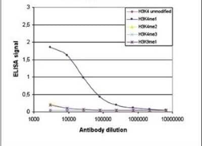 ELISA: Histone H3 [Methyl Lys4] Antibody (C.15200150) [NBP2-59284] - Cross reactivity of the antibody directed against H3K4me1. To test the specificity an ELISA was performed using a serial dilution of the antibody against H3K4me1. The wells were coated with peptides containing the unmodified H3K4 as well as the mono-, di- and trimethylated H3K4 and the monomethylated H3K9. Figure shows a high specificity of the antibody for the modification of interest.