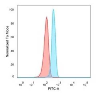 Flow Cytometry: Homez Antibody (PCRP-HOMEZ-1B5) [NBP3-08303] - Flow cytometric analysis of PFA-fixed HeLa cells. Homez Mouse Monoclonal Antibody (PCRP-Homez-1B5) followed by goat anti- Mouse IgG-CF488 (blue), isotype control (red).