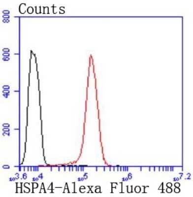 Flow Cytometry: HspA4 Antibody (SD0861) [NBP2-67817] - Analysis of Hela cells with HSPA4 antibody at 1/50 dilution (red) compared with an unlabelled control (cells without incubation with primary antibody; black). Alexa Fluor 488-conjugated goat anti rabbit IgG was used as the secondary antibody.