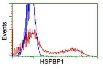 CyTOF-ready: HspBP1 Antibody (OTI1D5) - Azide and BSA Free [NBP2-71761] - HEK293T cells transfected with either HspBP1 Human Tagged ORF Clone overexpress plasmid (Red) or empty vector control plasmid (Blue) were immunostaining by anti-HSPBP1 antibody , and then analyzed by flow cytometry.