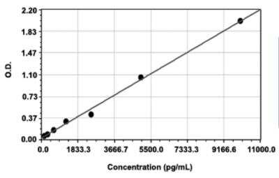 ELISA: Human ACE/CD143 ELISA Kit [KA0432] - These standard curves are provided for demonstration only. A standard curve should be generated for each set of samples assayed.