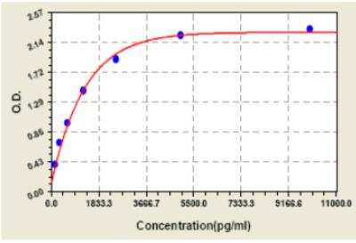 ELISA: Human Angiogenin ELISA Kit (Colorimetric) [KA1252] - These standard curves are provided for demonstration only. A standard curve should be generated for each set of samples assayed.