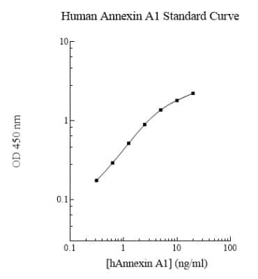 ELISA: Human Annexin A1 ELISA Kit (Colorimetric) [NBP2-60538]