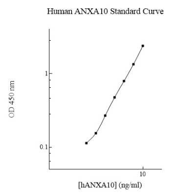 ELISA: Human Annexin A10 ELISA Kit (Colorimetric) [NBP2-60540]
