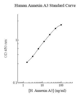 ELISA: Human Annexin A3 ELISA Kit (Colorimetric) [NBP2-60537] - Standard curve. 