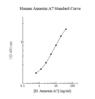 ELISA: Human Annexin A7 ELISA Kit (Colorimetric) [NBP3-18700] - Standard Reference Curve