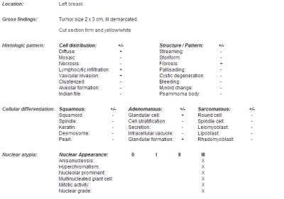 Unknown Human Breast Tissue Lysate (Adult Normal)