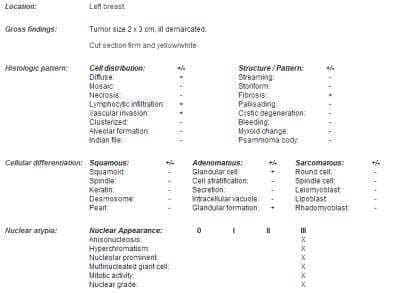 Unknown Human Breast Tissue Lysate (Adult Tumor)