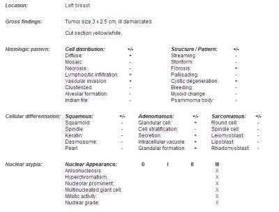 Unknown Human Breast Tissue Lysate (Adult Tumor)