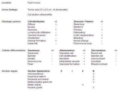 Human Breast Tissue Lysate (Adult Tumor) [NBP2-28012]