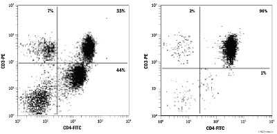 Flow Cytometry: Human CD4+ T Cell Isolation Kit [MAGH102-NOV] - Enrichment of CD4+ T Cells from Human Peripheral Blood Mononuclear Cells Using the MagCellect CD4+ T Cell Isolation Kit. Ficolled human PBMC before (A) and after (B) isolation of CD4+ T cells were stained with PE-conjugated Mouse Anti-Human CD3 epsilon Monoclonal Antibody and FITC-conjugated Mouse Anti-Human CD4 Monoclonal Antibody.