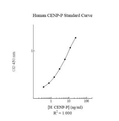 ELISA: Human CENPP ELISA Kit (Colorimetric) [NBP3-18706] - Standard Reference Curve