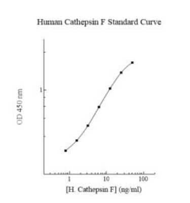 ELISA: Human Cathepsin F ELISA Kit (Colorimetric) [NBP3-18705] - Standard Reference Curve