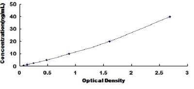 ELISA: Human Collagen Type I ELISA Kit (Colorimetric) [NBP2-30102]
