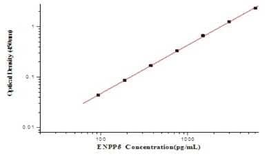 ELISA Human ENPP-5 ELISA Kit (Colorimetric)