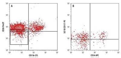 Flow Cytometry: Human Hematopoietic Progenitor Cell Flow Cytometry Kit [FMC019-NOV] - Human umbilical cord blood cells were stained using reagents supplied in this kit. Cells were simultaneously analyzed for the expression of multipotency markers. Cells negative for CD11b and negative/low for CD38 (boxed area in A) were gated and assessed for positive expression of CD34 and SCF R/CD117 (upper right quadrant in B). Quadrants were set based on isotype controls.
