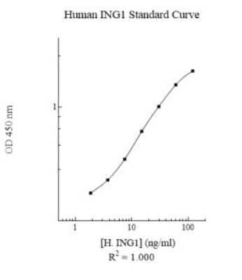 ELISA: Human ING1 ELISA Kit (Colorimetric) [NBP3-18726] - Standard Reference Curve