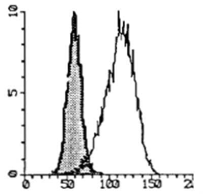 Flow Cytometry: Human IgE Antibody (I27/mAb27) [DDX0290P-100] - Fixation of mAb27 to IgEbound to Fc&epsilon;R2/CD23 on RPMI 8866 cells