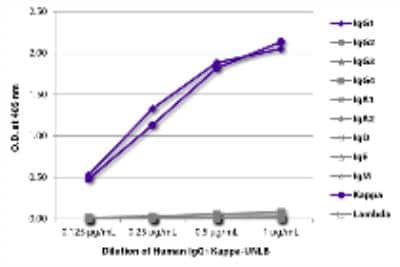 ELISA: Human IgG1 Kappa Isotype Control [NBP3-06872] - ELISA plate was coated with serially diluted Human IgG1 Kappa-UNLB (SB Cat. No. 0151K-01). Immunoglobulin was detected with Mouse Anti-Human IgG1 Hinge-BIOT (SB Cat. No. 9052-08), Mouse Anti-Human IgG2 Fc-BIOT (SB Cat. No. 9060-08), Mouse Anti-Human IgG3 Hinge-BIOT (SB Cat. No. 9210-08), Mouse Anti-Human IgG4 pFc'-BIOT (SB Cat. No. 9190-08), Mouse Anti-Human IgA1-BIOT (SB Cat. No. 9130-08), Mouse Anti-Human IgA2-BIOT (SB Cat. No. 9140-08), Mouse Anti-Human IgD-BIOT (SB Cat. No. 9030-08), Mouse Anti-Human IgE Fc-BIOT (SB Cat. No. 9160-08), Mouse Anti-Human IgM-BIOT (SB Cat. No. 9020-08), Mouse Anti-Human Kappa-BIOT (SB Cat. No. 9230-08), and Mouse Anti-Human Lambda-BIOT (SB Cat. No. 9180-08) followed by Streptavidin-HRP (SB Cat. No. 7100-05) and quantified.