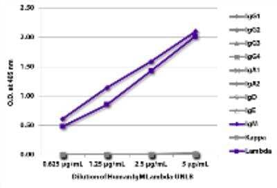 ELISA: Human IgM Lambda Isotype Control [NBP3-06875] - ELISA plate was coated with serially diluted Human IgM Lambda-UNLB (SB Cat. No. 0158L-01). Immunoglobulin was detected with Mouse Anti-Human IgG1 Hinge-BIOT (SB Cat. No. 9052-08), Mouse Anti-Human IgG2 Fc-BIOT (SB Cat. No. 9060-08), Mouse Anti-Human IgG3 Hinge-BIOT (SB Cat. No. 9210-08), Mouse Anti-Human IgG4 pFc'-BIOT (SB Cat. No. 9190-08), Mouse Anti-Human IgA1-BIOT (SB Cat. No. 9130-08), Mouse Anti-Human IgA2-BIOT (SB Cat. No. 9140-08), Mouse Anti-Human IgD-BIOT (SB Cat. No. 9030-08), Mouse Anti-Human IgE Fc-BIOT (SB Cat. No. 9160-08), Mouse Anti-Human IgM-BIOT (SB Cat. No. 9020-08), Mouse Anti-Human Kappa-BIOT (SB Cat. No. 9230-08), and Mouse Anti-Human Lambda-BIOT (SB Cat. No. 9180-08) followed by Streptavidin-HRP (SB Cat. No. 7100-05) and quantified.