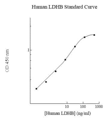 ELISA Human Lactate Dehydrogenase B ELISA Kit (Colorimetric)