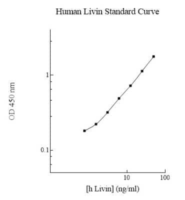 ELISA: Human Livin ELISA Kit (Colorimetric) [NBP2-60578]