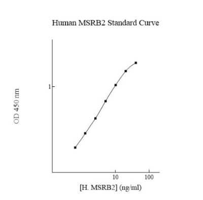 ELISA Human MSRB2 ELISA Kit (Colorimetric)