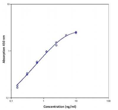 ELISA: Human Neutrophil Elastase/ELA2 ELISA Kit (Colorimetric) [NBP2-62170] - Example standard curve for Human Neutrophil Elastase/ELA2 ELISA Kit (Colorimetric). These standard curves are provided for demonstration only. A standard curve should be generated for each set of samples assayed.