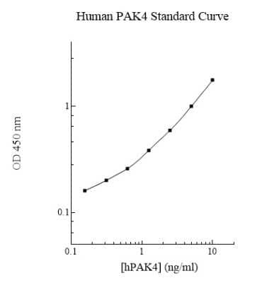 ELISA: Human PAK4 ELISA Kit (Colorimetric) [NBP2-60591]