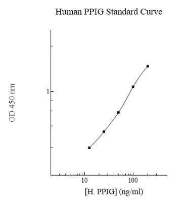 ELISA: Human PPIG ELISA Kit (Colorimetric) [NBP2-60593] - Standard curve.
