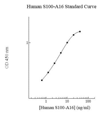 ELISA: Human S100A16 ELISA Kit (Colorimetric) [NBP2-60601] - Standard curve.