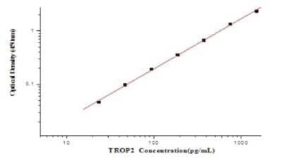 ELISA: Human TROP-2 ELISA Kit (Colorimetric) [NBP2-80359] - Example standard curve for Human TROP-2 ELISA Kit (Colorimetric). These standard curves are provided for demonstration only. A standard curve should be generated for each set of samples assayed.