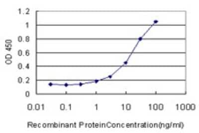 Sandwich ELISA: Hyaluronidase 1/HYAL1 Antibody (2H7) [H00003373-M01] - Detection limit for recombinant GST tagged HYAL1 is approximately 1ng/ml as a capture antibody.