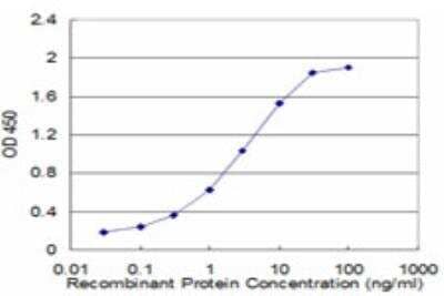 ELISA: Hydrogen Potassium ATPase Beta Antibody (1D10) [H00000496-M10] - Detection limit for recombinant GST tagged ATP4B is approximately 0.1ng/ml as a capture antibody.