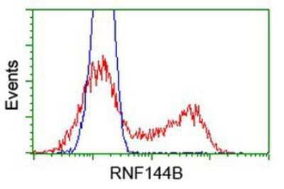 Flow Cytometry: IBRDC2 Antibody (9H10) [NBP2-02128] - HEK293T cells transfected with either overexpression plasmid (Red) or empty vector control plasmid (Blue) were immunostained by anti-IBRDC2 antibody, and then analyzed by flow cytometry.