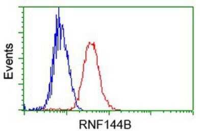 Flow Cytometry: IBRDC2 Antibody (OTI9H10) - Azide and BSA Free [NBP2-72470] - Analysis of Jurkat cells, using anti-IBRDC2 antibody, (Red), compared to a nonspecific negative control antibody (Blue).