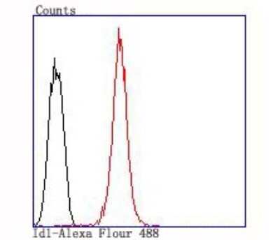 Flow Cytometry: ID1 Antibody (JM92-13) [NBP2-66897] - Analysis of HepG2 cells with Id1 antibody at 1/100 dilution (red) compared with an unlabelled control (cells without incubation with primary antibody; black).