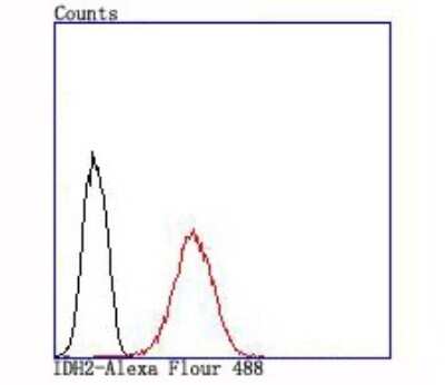 Flow Cytometry: IDH2 Antibody (JA55-31) [NBP2-66899] - Analysis of MCF-7 cells with IDH2 antibody at 1/100 dilution (red) compared with an unlabelled control (cells without incubation with primary antibody; black).