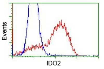 Flow Cytometry: IDO2 Antibody (OTI1A4) - Azide and BSA Free [NBP2-72453] - HEK293T cells transfected with either overexpression plasmid (Red) or empty vector control plasmid (Blue) were immunostaining by anti-IDO2 antibody, and then analyzed by flow cytometry.