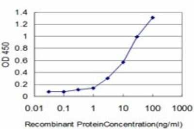 Sandwich ELISA: IFI16 Antibody (5C10) [H00003428-M06] - Detection limit for recombinant GST tagged IFI16 is approximately 0.3ng/ml as a capture antibody.