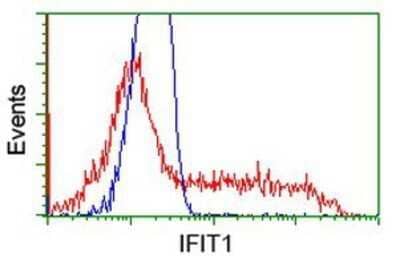 Flow Cytometry: IFIT1 Antibody (OTI3G8) - Azide and BSA Free [NBP2-71005] - HEK293T cells transfected with either overexpression plasmid (Red) or empty vector control plasmid (Blue) were immunostaining by anti-IFIT1 antibody, and then analyzed by flow cytometry.