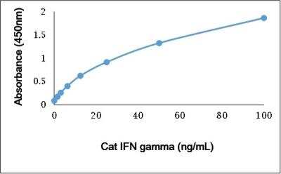 ELISA: IFN-gamma Antibody [NBP3-11362] - Recombinant Cat IFN gamma detected using Rabbit anti Cat IFN gamma as the capture reagent and Rabbit anti Cat IFN gamma:Biotin as the detection reagent followed by Streptavidin:HRP.